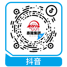 江蘇泰隆減速機(集團(tuán))股份有限公司 江蘇泰隆減速機(集團(tuán))股份有限公司