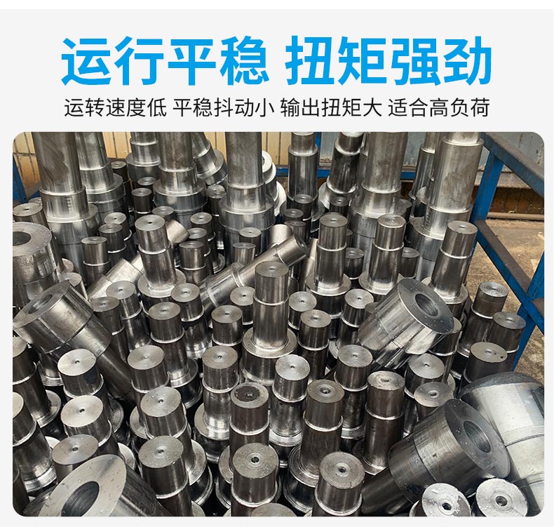 江蘇泰隆減速機(集團)股份有限公司 江蘇泰隆減速機(集團)股份有限公司